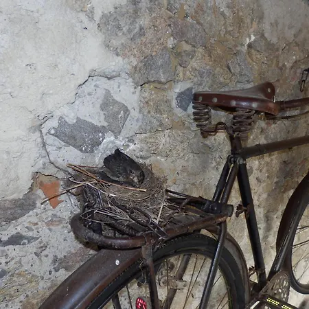 公寓 杜尔斯坦文物酒店 *