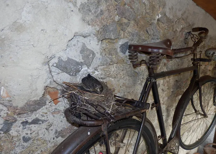 公寓 杜尔斯坦文物酒店 *